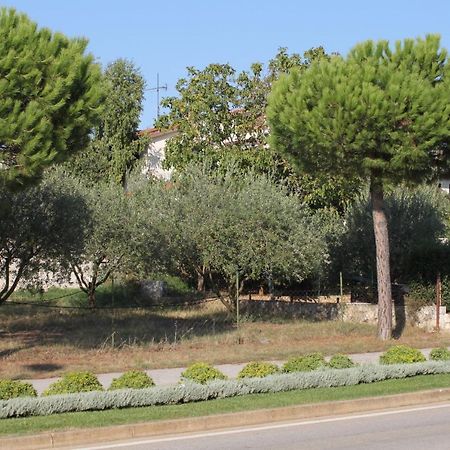 Apartments And Rooms With Parking Space Rovinj - 7170 Bagian luar foto