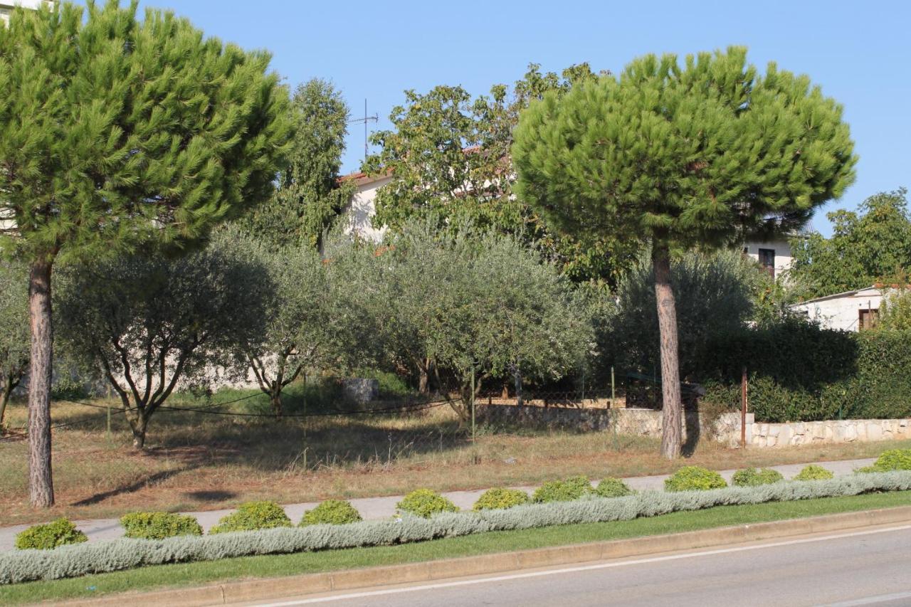 Apartments And Rooms With Parking Space Rovinj - 7170 Bagian luar foto