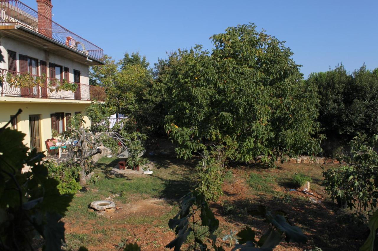 Apartments And Rooms With Parking Space Rovinj - 7170 Bagian luar foto